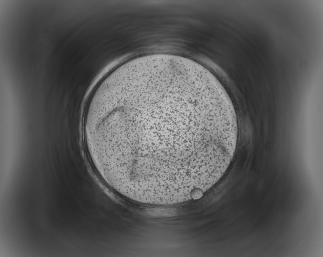 X0000082931294200703020057