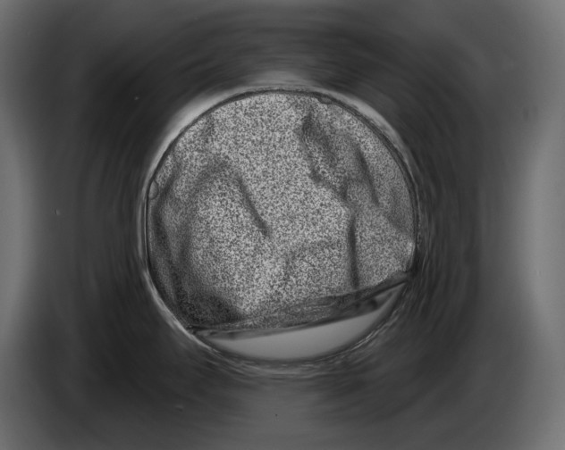 X0000082931295200703020057