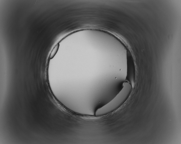 X0000082931296200703020057