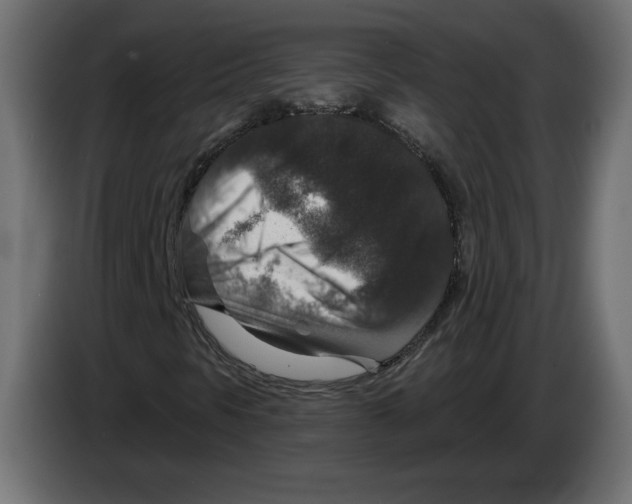X0000082931297200703020056