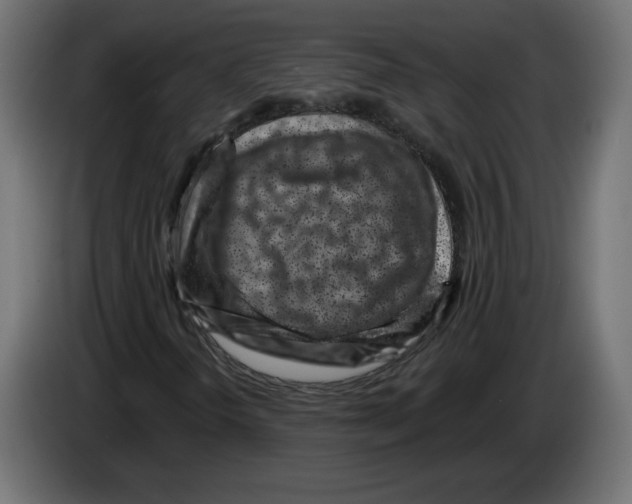 X0000082931298200703020056