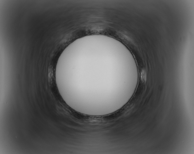 X0000082931299200703020056