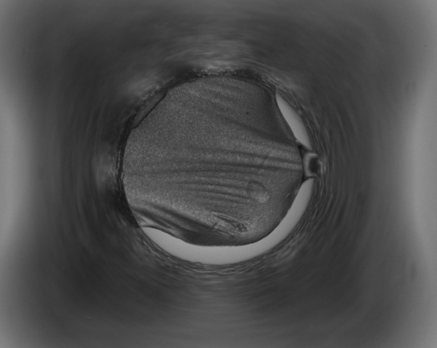 X0000082931300200703020056