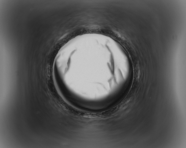 X0000082931301200703020056