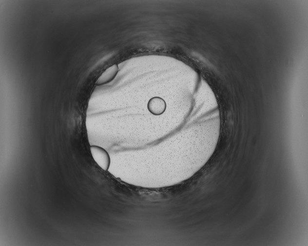 X0000082931302200703020056