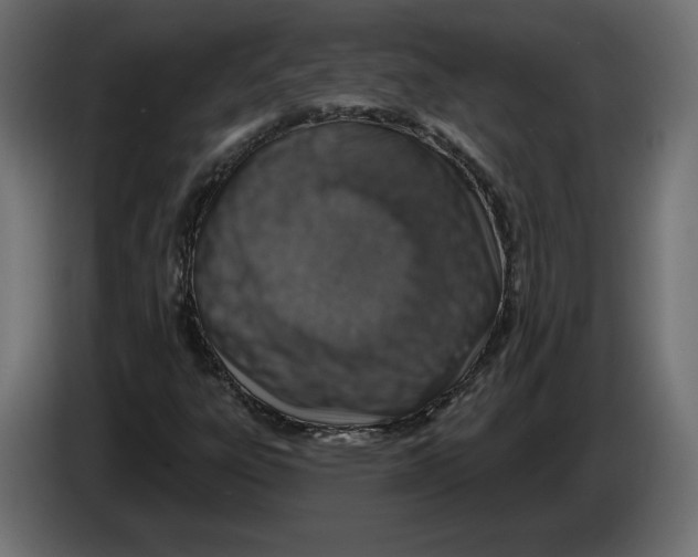 X0000082931303200703020056