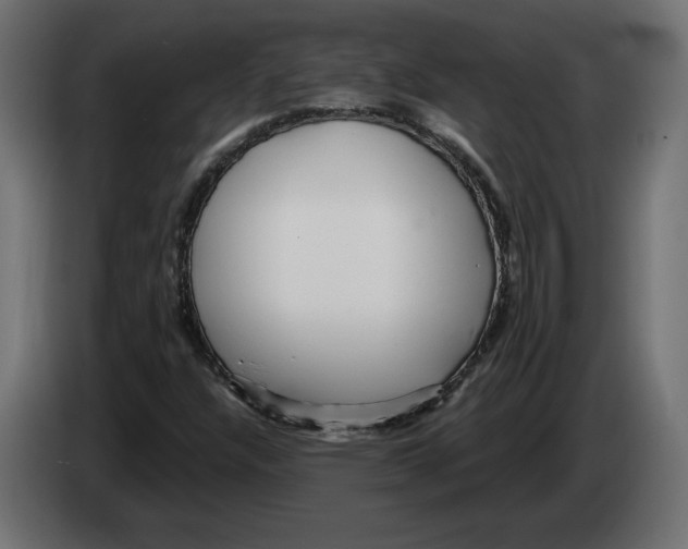 X0000082931304200703020056