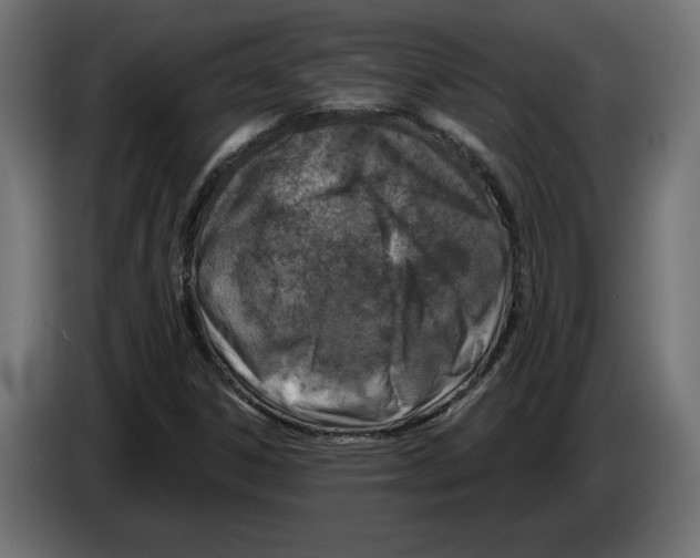 X0000082931306200703020056