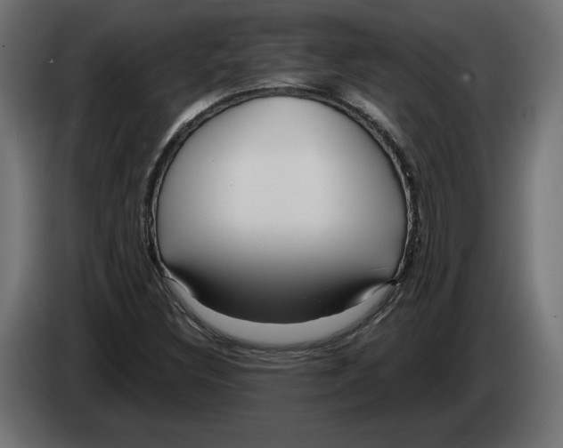 X0000082931308200703020057