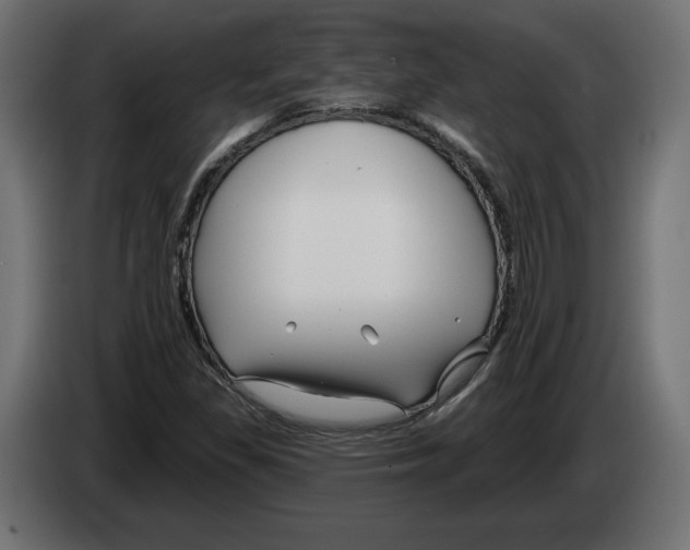 X0000082931309200703020057