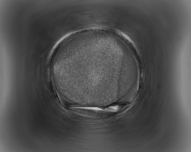 X0000082931310200703020057