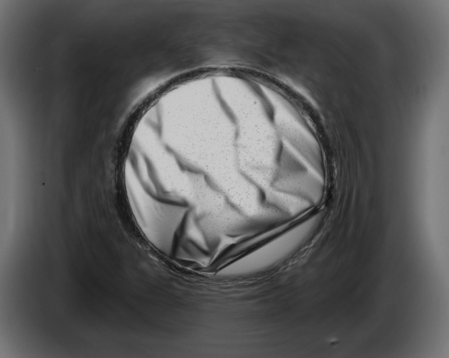 X0000082931311200703020057