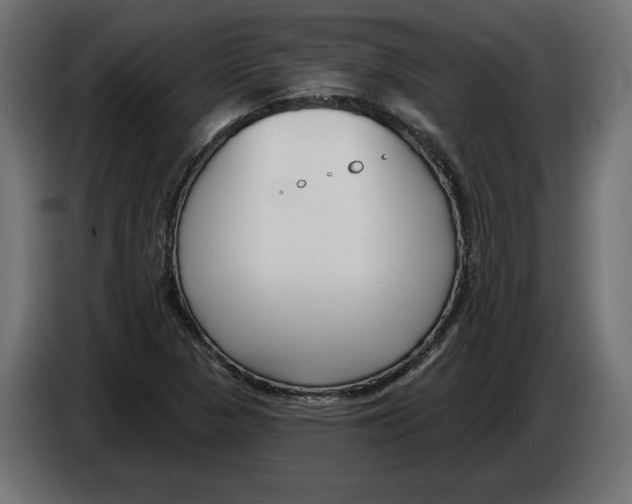 X0000082931313200703020057