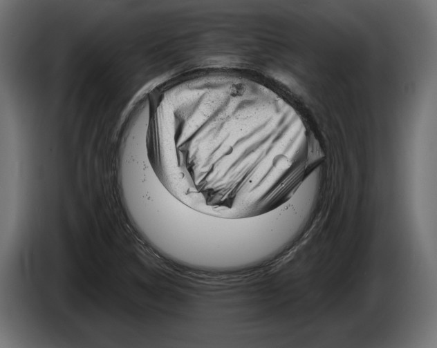 X0000082931314200703020057