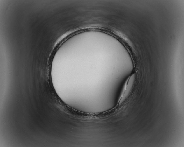 X0000082931316200703020057