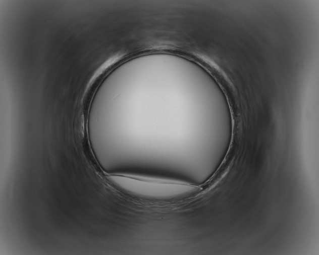 X0000082931317200703020057