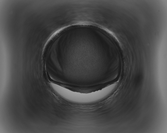X0000082931319200703020057