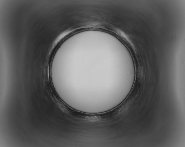 X0000082931320200703020057