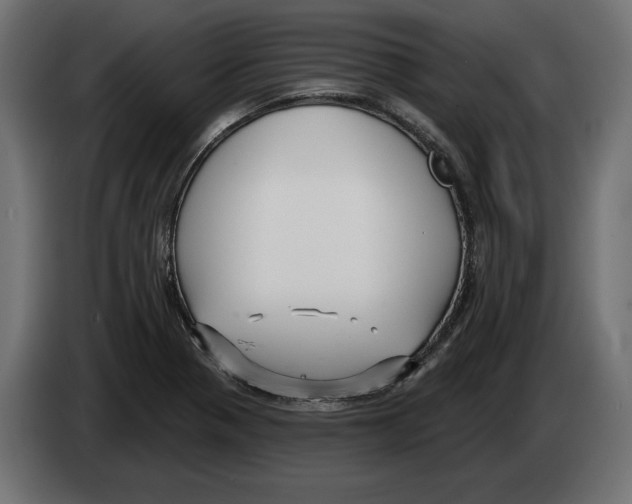 X0000082931321200703020057