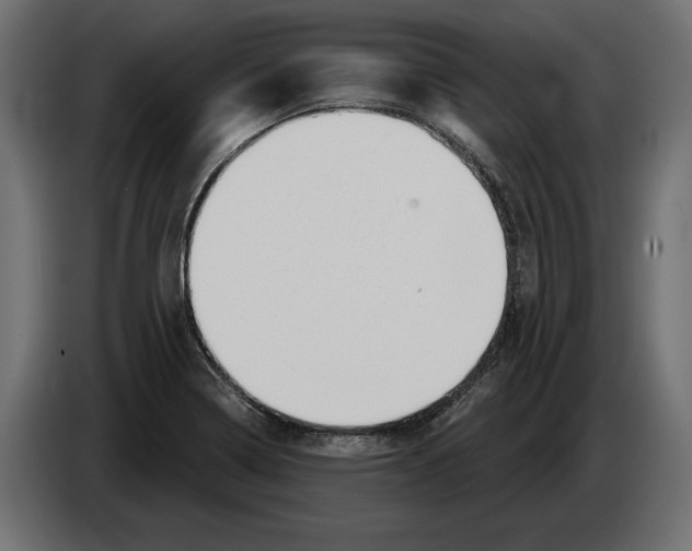 X0000082931322200703020057