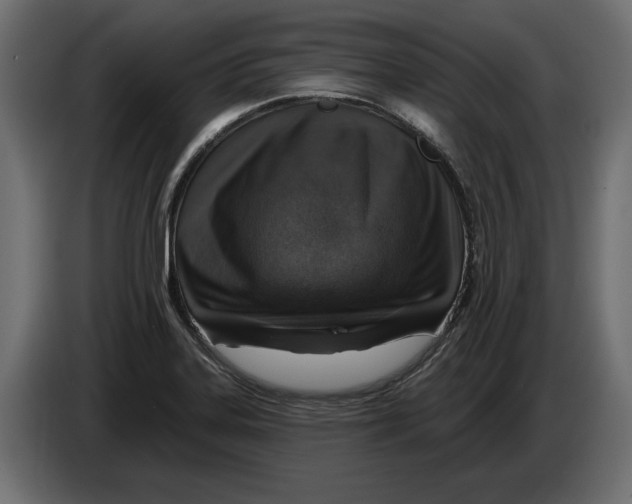 X0000082931323200703020057