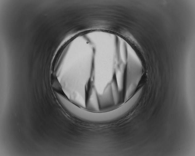 X0000082931324200703020057
