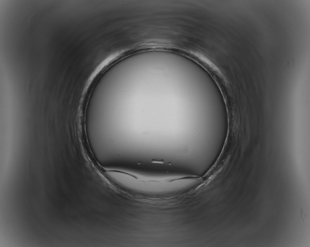 X0000082931325200703020057