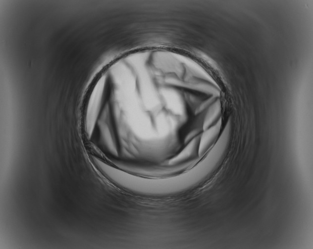 X0000082931326200703020057