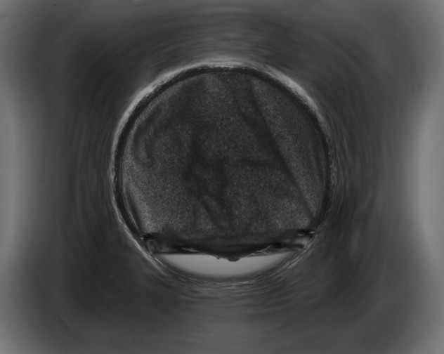 X0000082931327200703020057