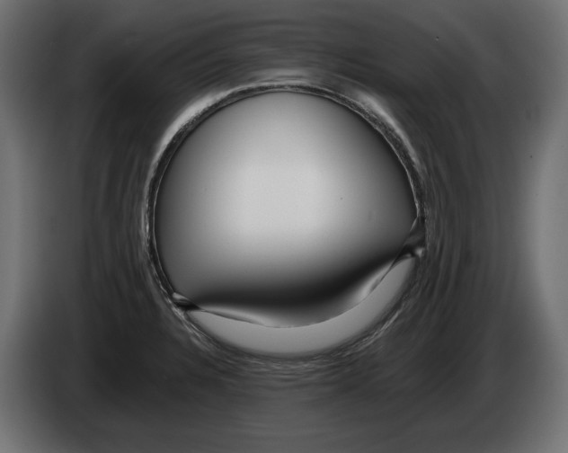 X0000082931328200703020057