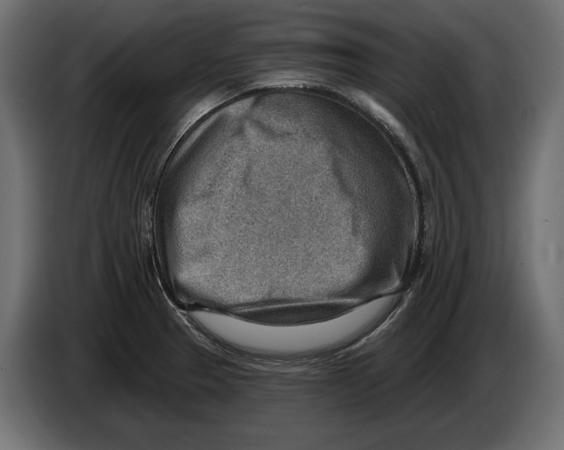 X0000082931329200703020057