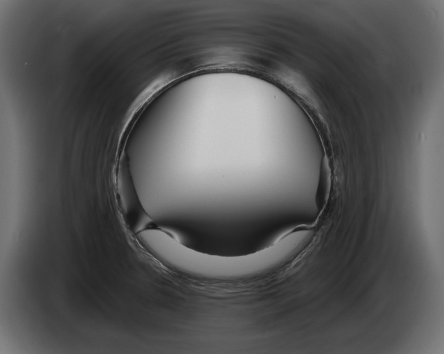 X0000082931330200703020057