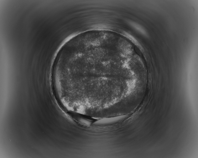 X0000082931331200703020057