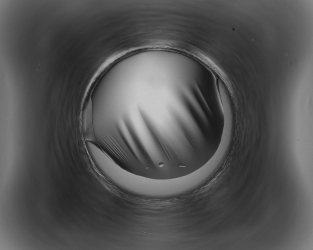 X0000082931332200703020057