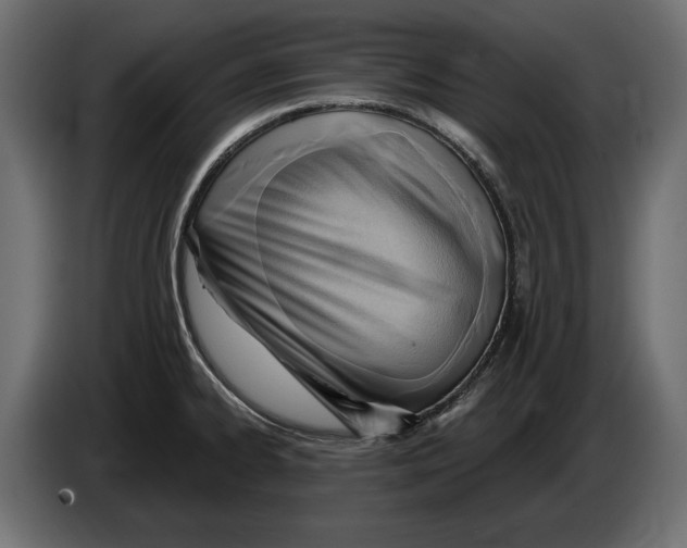 X0000082931334200703020057