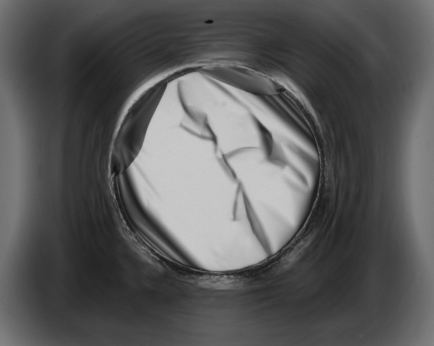 X0000082931336200703020057