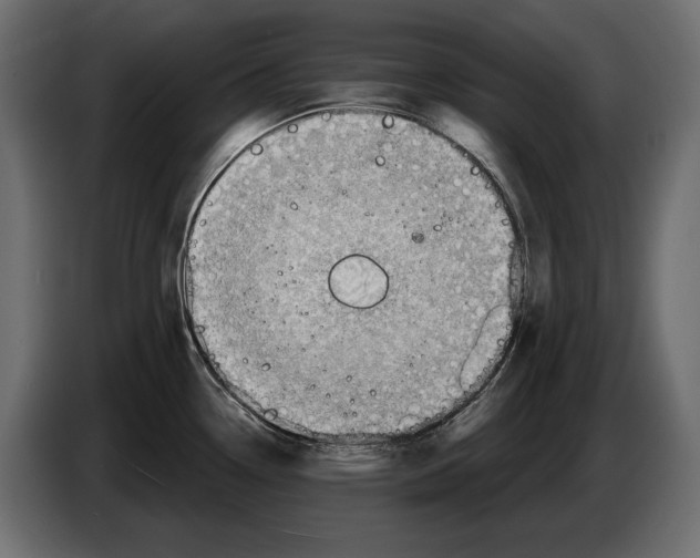 X0000082931338200703020057