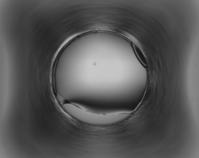 X0000082931339200703020057