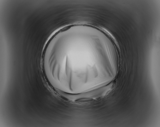 X0000082931340200703020057