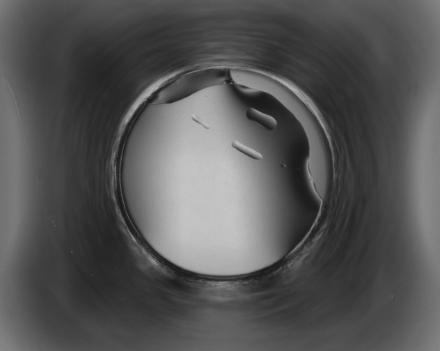 X0000082931341200703020057