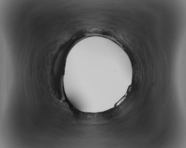 X0000082931345200703020056