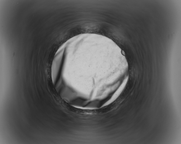 X0000082931346200703020056