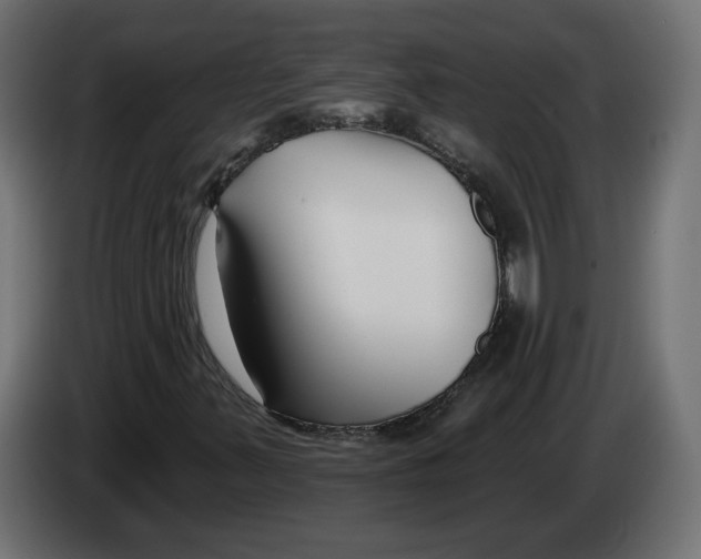 X0000082931347200703020056