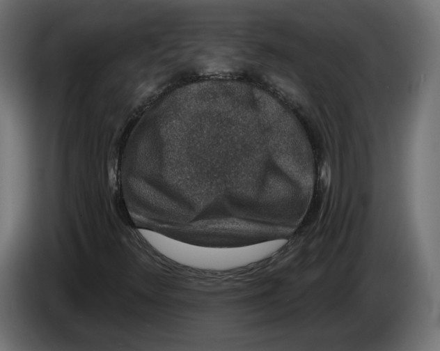 X0000082931348200703020056