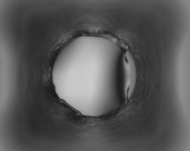 X0000082931349200703020056