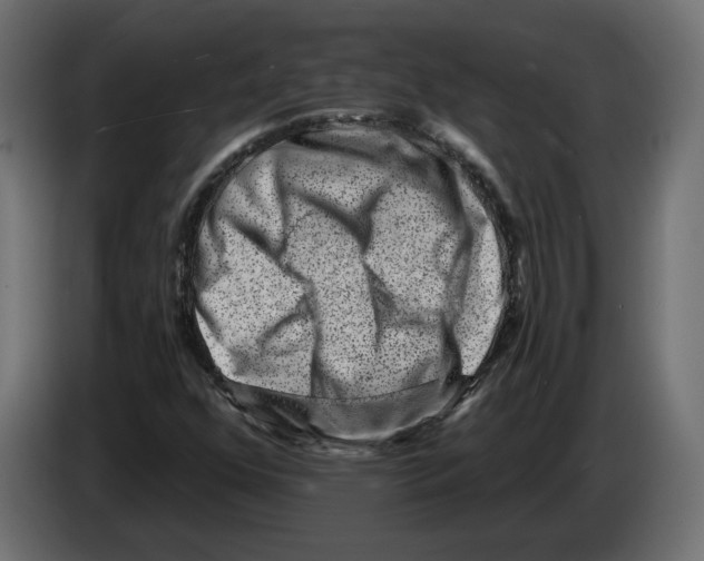 X0000082931352200703020056