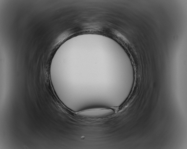 X0000082931354200703020056