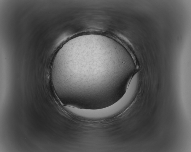 X0000082931355200703020056