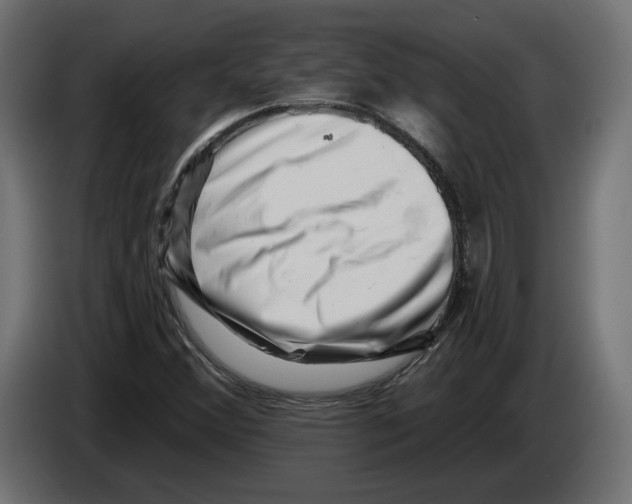 X0000082931356200703020056