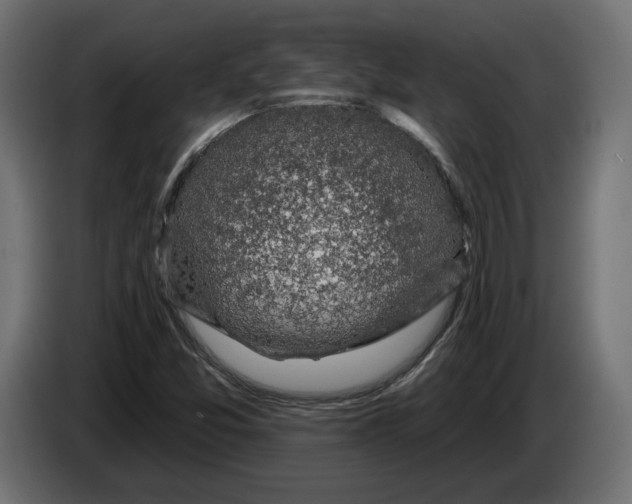 X0000082931357200703020056